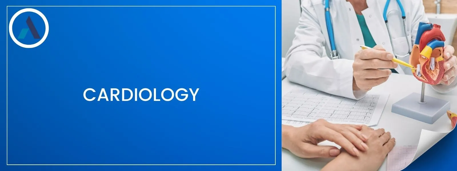 Cardiology
